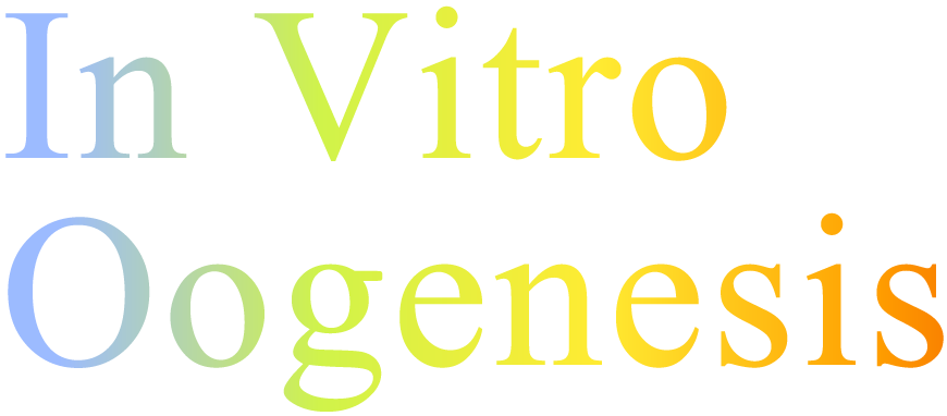 In Vitro Oogenesis